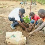 La Fondation Sompagnimdi met en terre 1000 plants